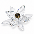 Mornig Orchid - Gold beryl - foto principal de producto
