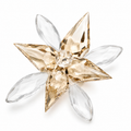 Sun Orchid - foto principal de producto