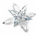 Sun Orchid - Cr Lagoon - foto principal de producto